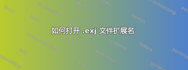 如何打开 .exj 文件扩展名