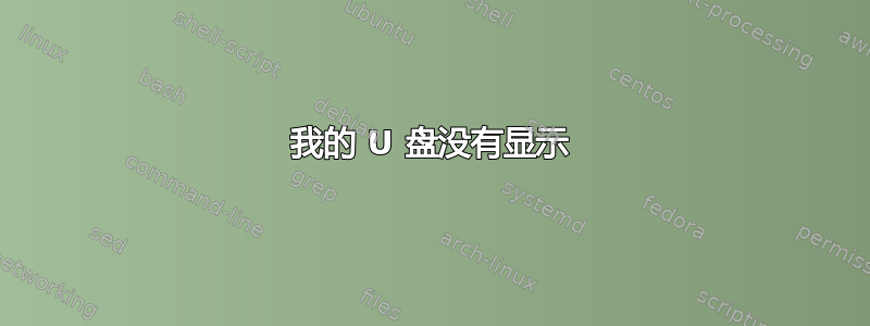 我的 U 盘没有显示