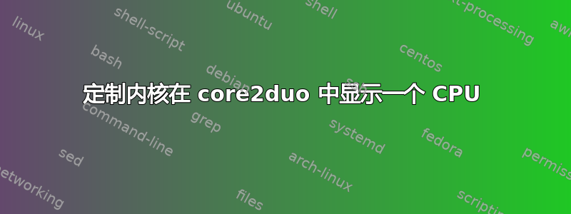 定制内核在 core2duo 中显示一个 CPU