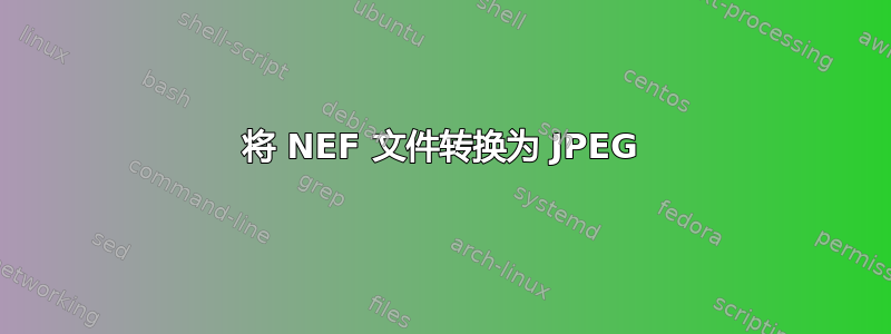 将 NEF 文件转换为 JPEG