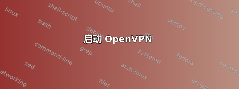 启动 OpenVPN