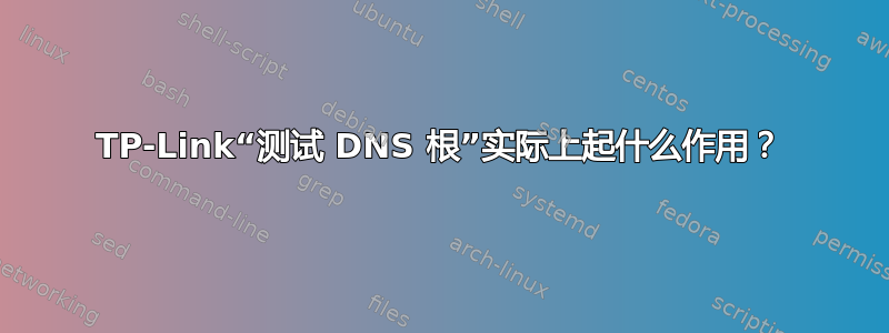 TP-Link“测试 DNS 根”实际上起什么作用？