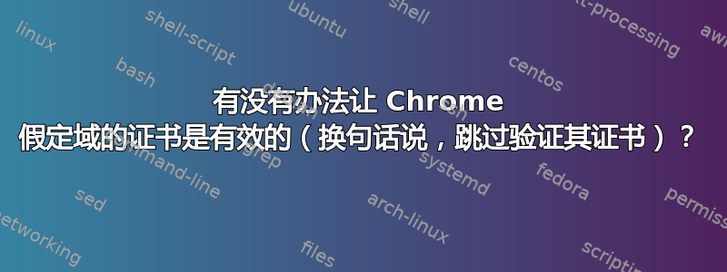 有没有办法让 Chrome 假定域的证书是有效的（换句话说，跳过验证其证书）？