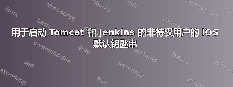 用于启动 Tomcat 和 Jenkins 的非特权用户的 iOS 默认钥匙串