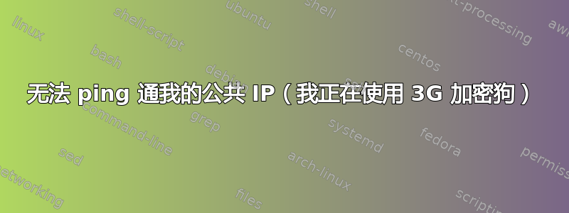 无法 ping 通我的公共 IP（我正在使用 3G 加密狗）