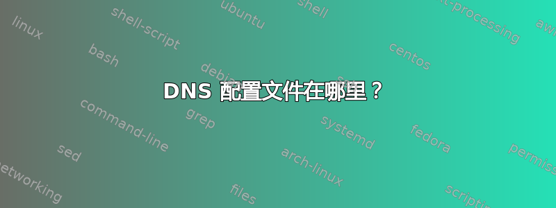 DNS 配置文件在哪里？