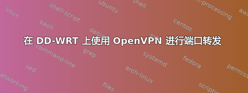 在 DD-WRT 上使用 OpenVPN 进行端口转发