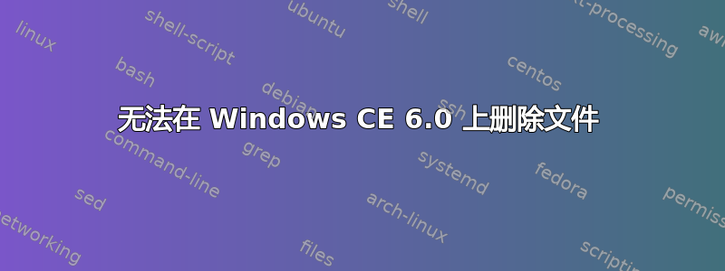 无法在 Windows CE 6.0 上删除文件