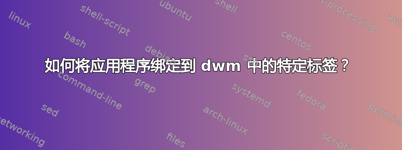 如何将应用程序绑定到 dwm 中的特定标签？