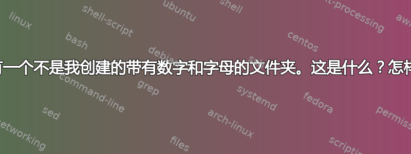 辅助驱动器中有一个不是我创建的带有数字和字母的文件夹。这是什么？怎样做比较安全？