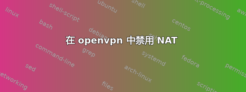 在 openvpn 中禁用 NAT