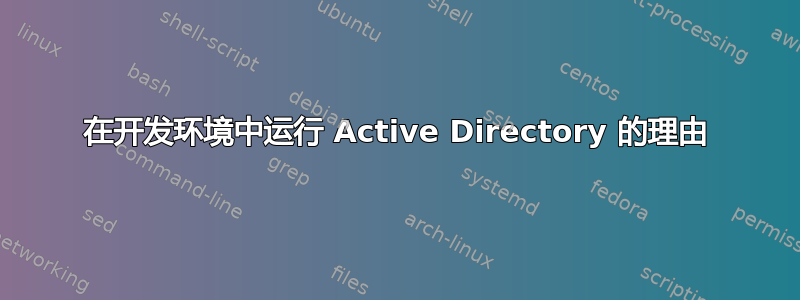 在开发环境中运行 Active Directory 的理由