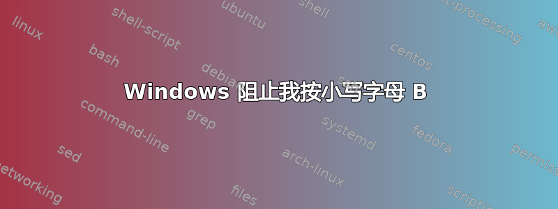 Windows 阻止我按小写字母 B