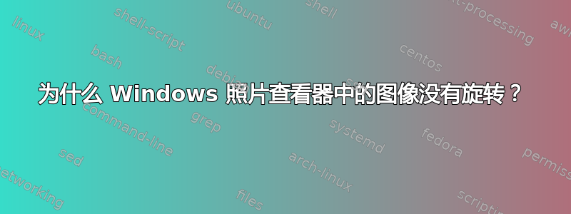 为什么 Windows 照片查看器中的图像没有旋转？