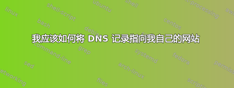 我应该如何将 DNS 记录指向我自己的网站