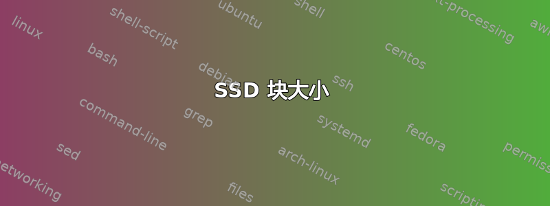 SSD 块大小