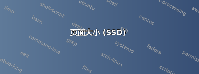 页面大小 (SSD)