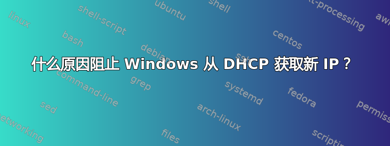 什么原因阻止 Windows 从 DHCP 获取新 IP？