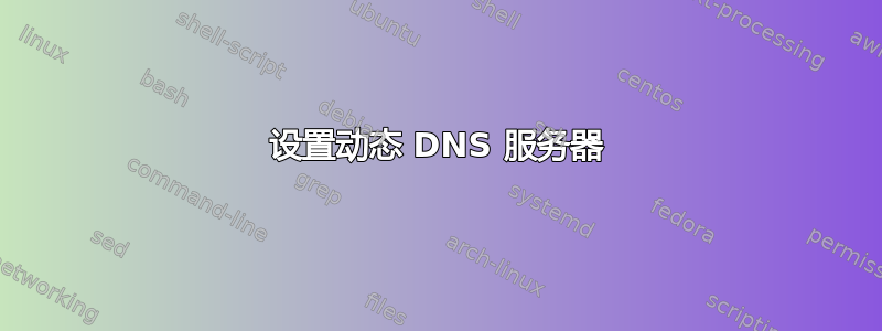 设置动态 DNS 服务器