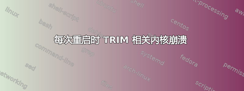 每次重启时 TRIM 相关内核崩溃