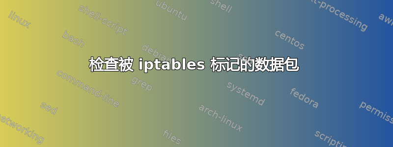 检查被 iptables 标记的数据包