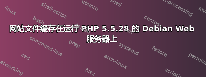 网站文件缓存在运行 PHP 5.5.28 的 Debian Web 服务器上