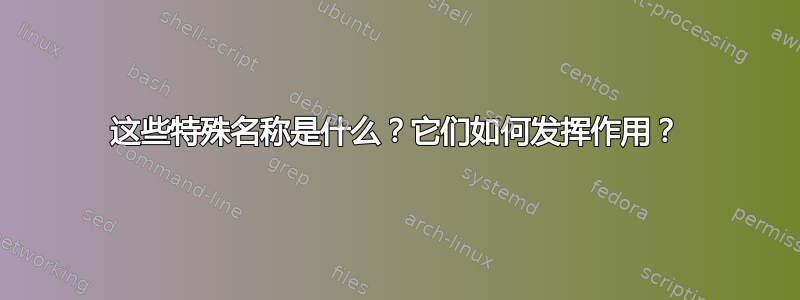 这些特殊名称是什么？它们如何发挥作用？