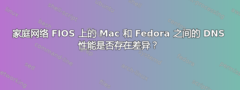 家庭网络 FIOS 上的 Mac 和 Fedora 之间的 DNS 性能是否存在差异？