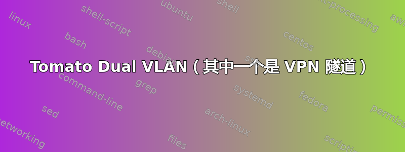 Tomato Dual VLAN（其中一个是 VPN 隧道）