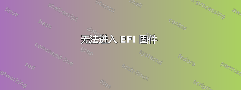 无法进入 EFI 固件