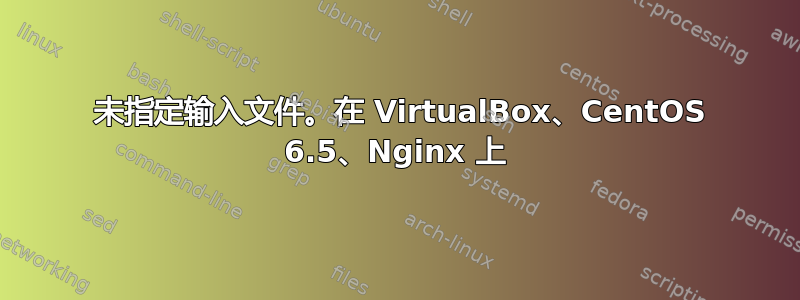 404 未指定输入文件。在 VirtualBox、CentOS 6.5、Nginx 上