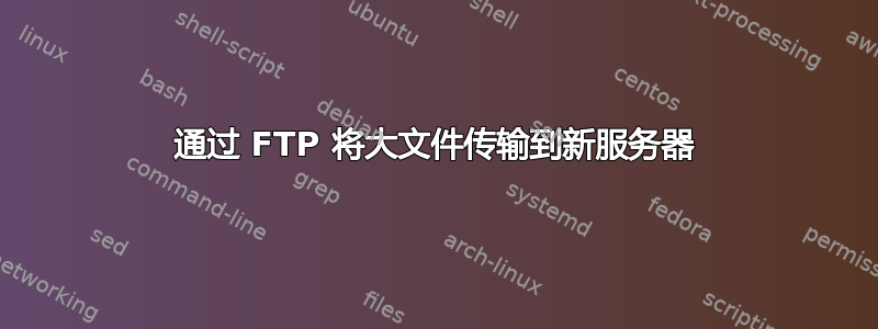 通过 FTP 将大文件传输到新服务器