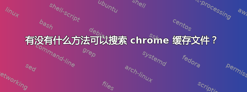 有没有什么方法可以搜索 chrome 缓存文件？