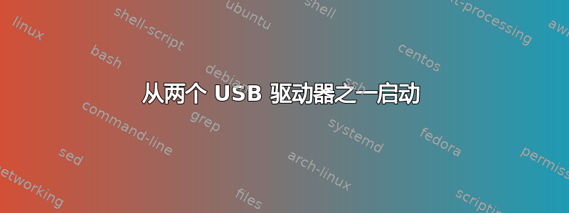 从两个 USB 驱动器之一启动