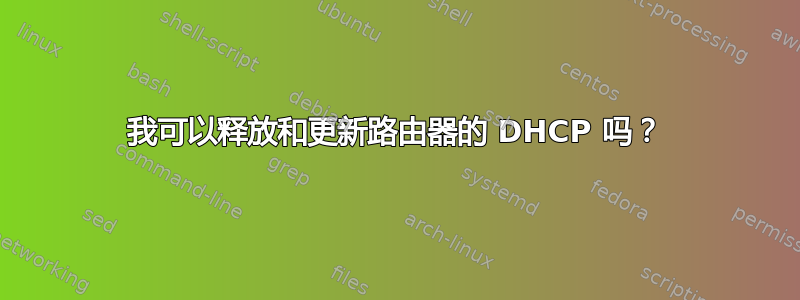 我可以释放和更新路由器的 DHCP 吗？