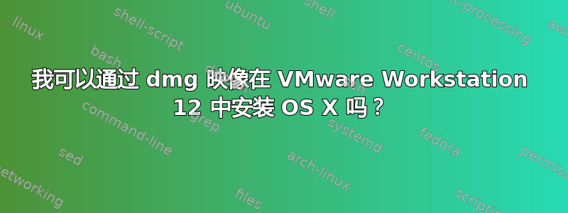 我可以通过 dmg 映像在 VMware Workstation 12 中安装 OS X 吗？