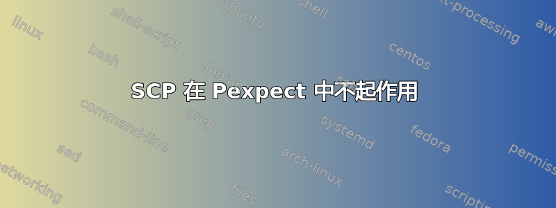 SCP 在 Pexpect 中不起作用