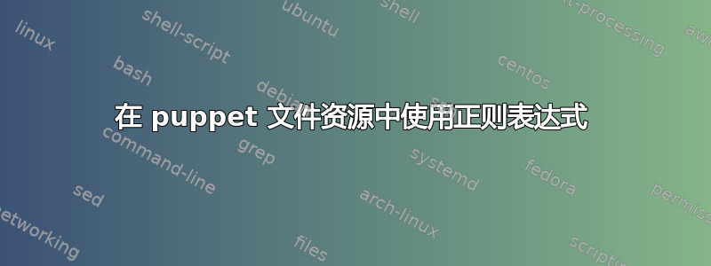 在 puppet 文件资源中使用正则表达式