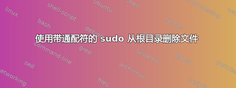 使用带通配符的 sudo 从根目录删除文件