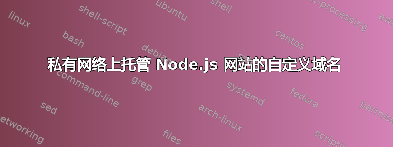 私有网络上托管 Node.js 网站的自定义域名