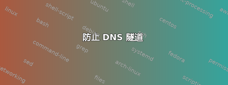 防止 DNS 隧道