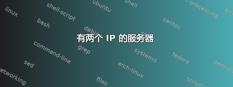 有两个 IP 的服务器