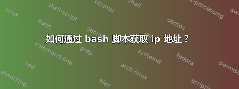 如何通过 bash 脚本获取 ip 地址？