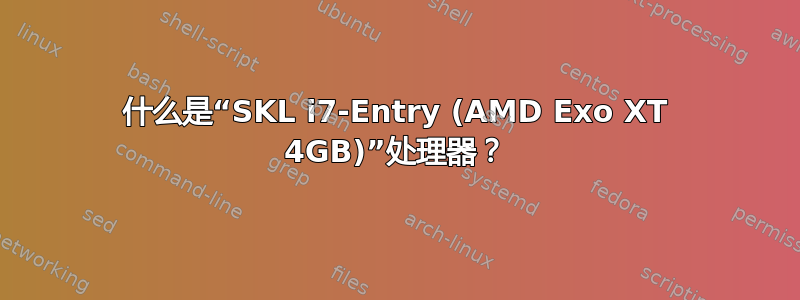 什么是“SKL i7-Entry (AMD Exo XT 4GB)”处理器？