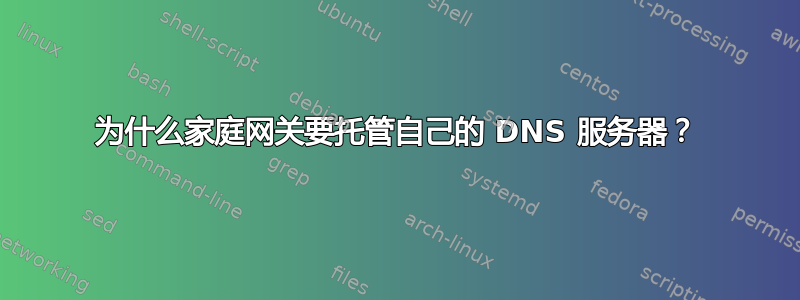 为什么家庭网关要托管自己的 DNS 服务器？