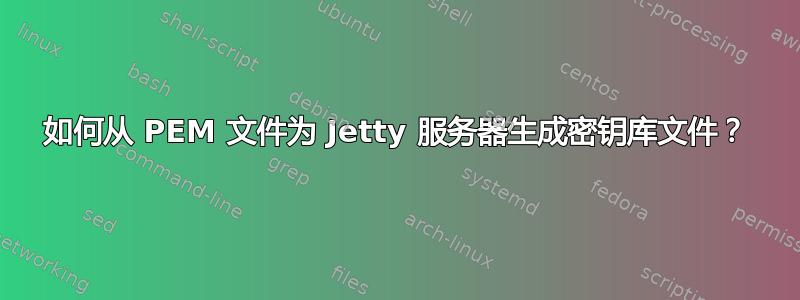 如何从 PEM 文件为 Jetty 服务器生成密钥库文件？