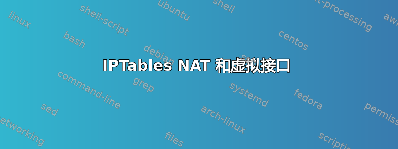 IPTables NAT 和虚拟接口