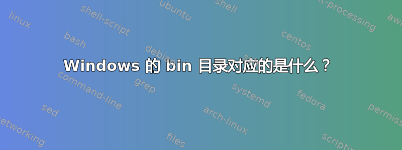 Windows 的 bin 目录对应的是什么？