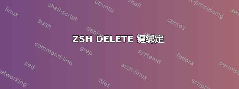 ZSH DELETE 键绑定