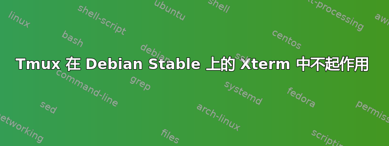 Tmux 在 Debian Stable 上的 Xterm 中不起作用